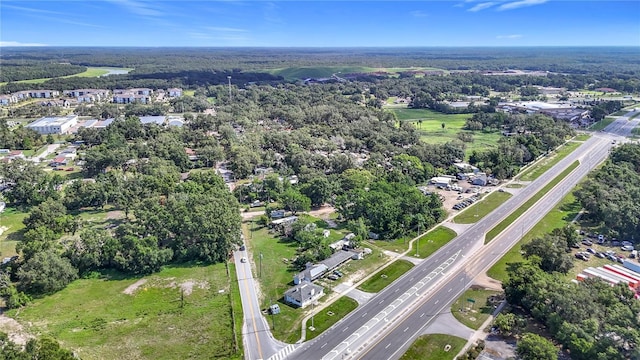 11302 N 301st Hwy, Thonotosassa, FL 33592 - photo 4