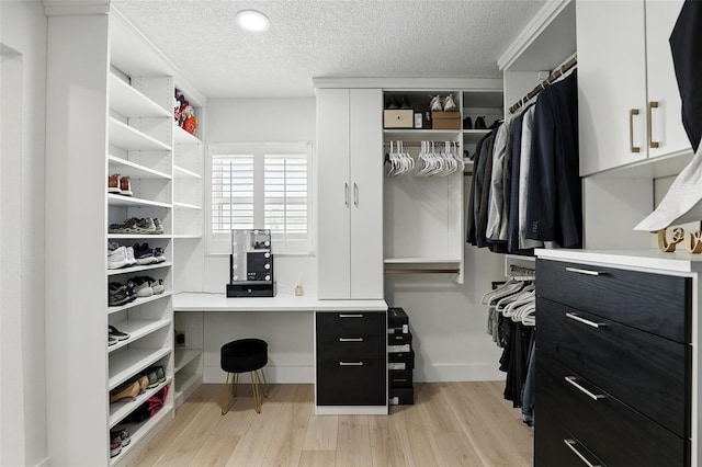 4611 Cranston Pl, Orlando, FL 32812 - walk in closet with light wood-type flooring
