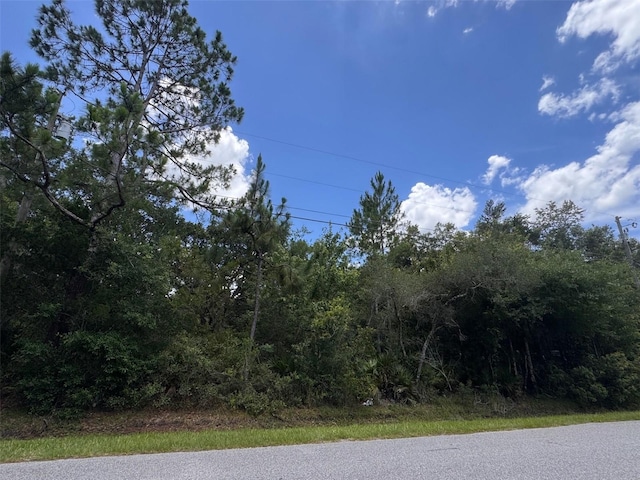 18422 Hewlett Rd, Orlando, FL 32820 - photo 1