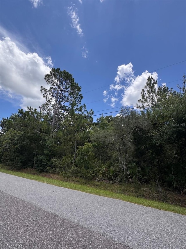 18422 Hewlett Rd, Orlando, FL 32820 - photo 2