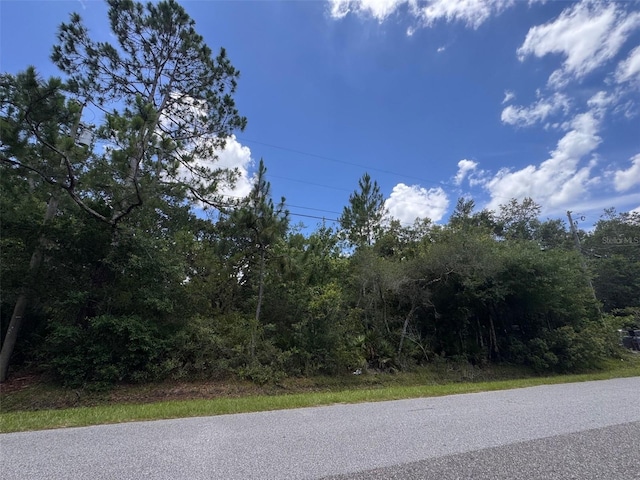 18422 Hewlett Rd, Orlando, FL 32820 - photo 4