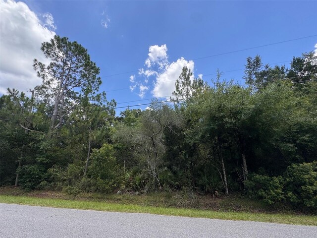 18422 Hewlett Rd, Orlando, FL 32820 - photo 5
