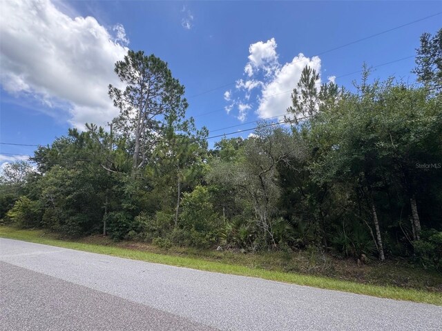 18422 Hewlett Rd, Orlando, FL 32820 - photo 7