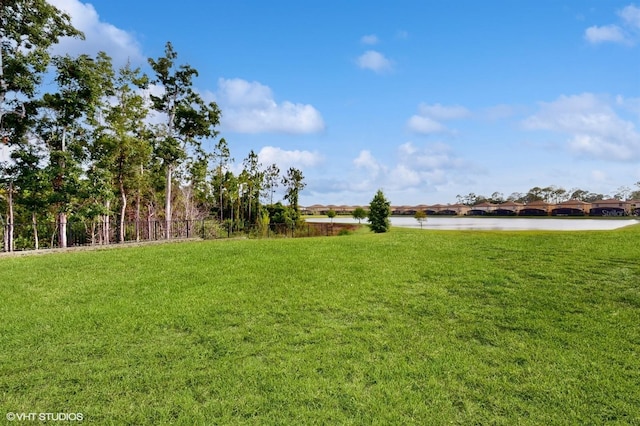 8806 Geneve Ct, Kissimmee, FL 34747 - view of yard