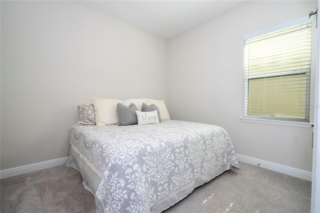 8066 Ludington Cir, Orlando, FL 32836 - carpeted bedroom with baseboards