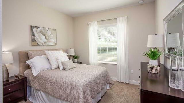 279 SW Cadence Gln, Lake City, FL 32024 - bedroom with light colored carpet and baseboards
