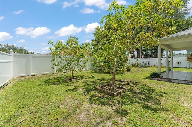 470 Cardinal Ct, Kissimmee, FL 34759 - view of fenced backyard