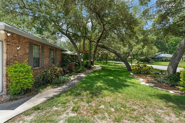 473 Burnt Tree Ln, Apopka, FL 32712 - view of grassy yard