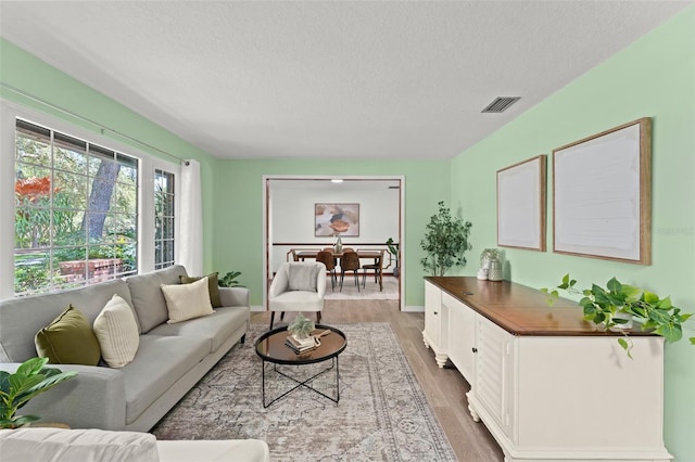 473 Burnt Tree Ln, Apopka, FL 32712 - living room featuring a textured ceiling and light wood-style floors