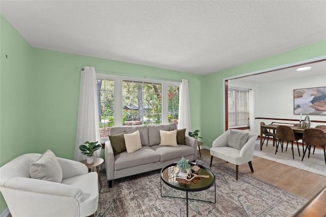 473 Burnt Tree Ln, Apopka, FL 32712 - living room with wood finished floors and a textured ceiling