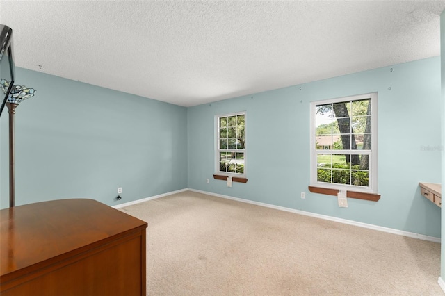 473 Burnt Tree Ln, Apopka, FL 32712 - empty room featuring a textured ceiling, light colored carpet, and plenty of natural light
