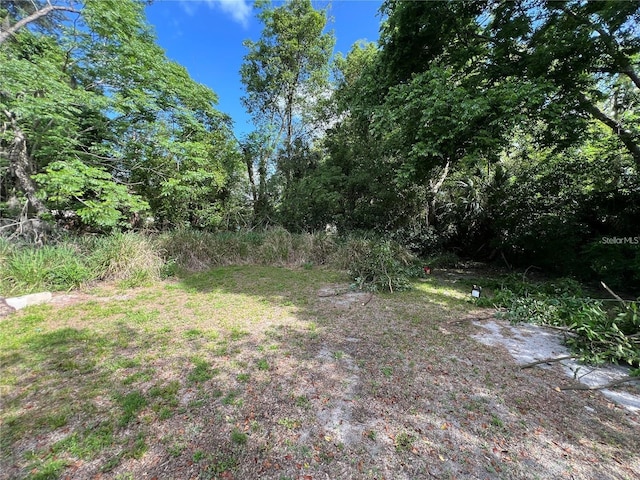 2107 Hollywood Ave, Eustis, FL 32726 - view of yard