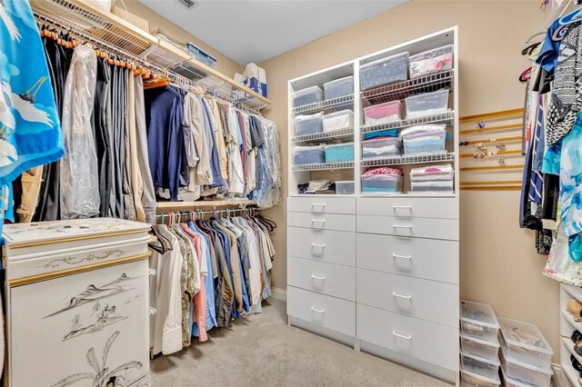 413 Harbour Oaks Pointe Dr, Edgewood, FL 32809 - spacious closet featuring carpet flooring