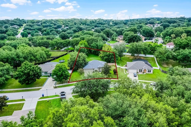 1113 Canopy Oaks Dr, Minneola, FL 34715 - view of property location featuring property boundaries highlighted