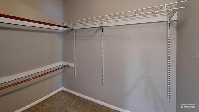 435 Andes Ave, Orlando, FL 32807 - photo 24