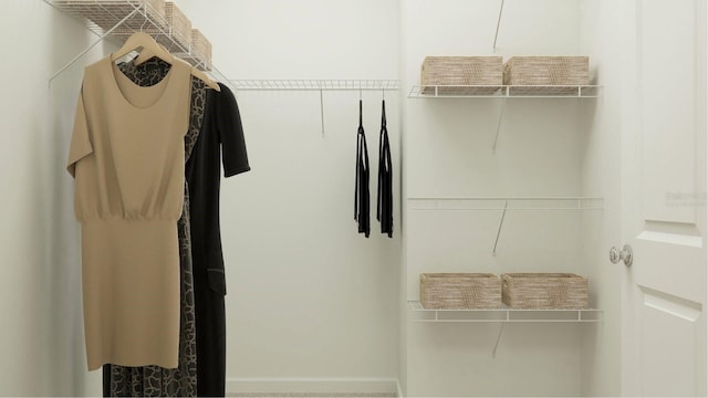 431 Puma Loop, Groveland, FL 34736 - view of walk in closet