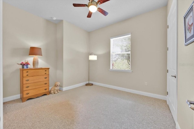 5005 Shore Side Dr, Lakeland, FL 33812 - photo 23