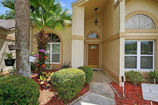 5704 Bay Side Dr, Orlando, FL 32819 - photo 19