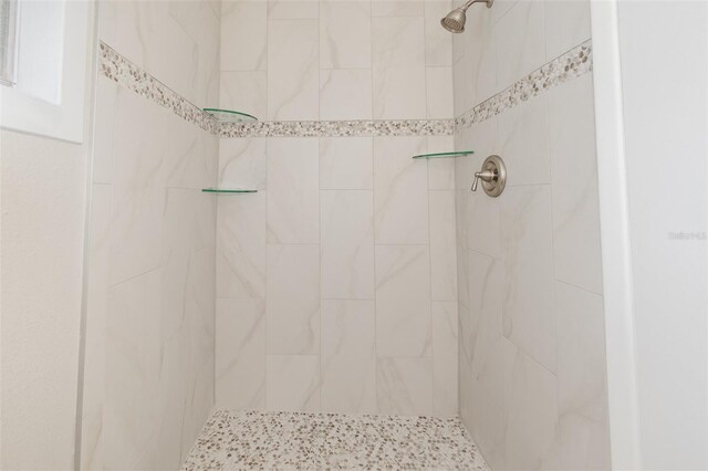 917 Great Bend Rd, Altamonte Springs, FL 32714 - bathroom with tiled shower