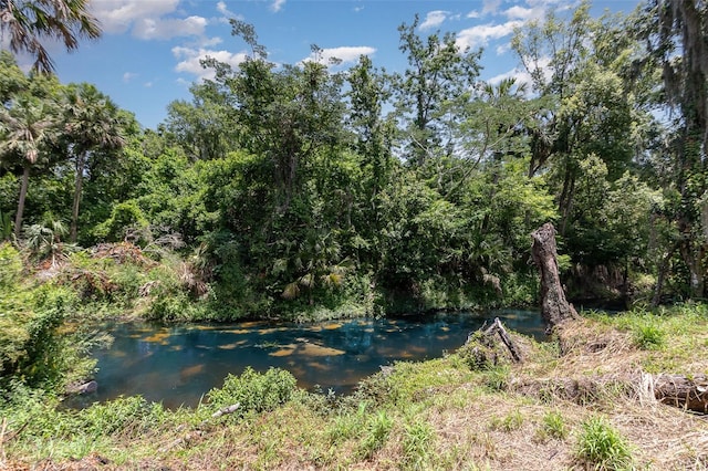 917 Great Bend Rd, Altamonte Springs, FL 32714 - view of wooded area