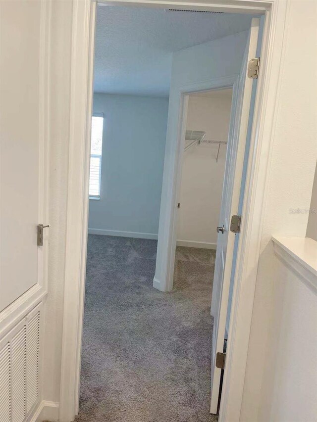 11070 Longleaf Woods Dr, Orlando, FL 32832 - photo 30