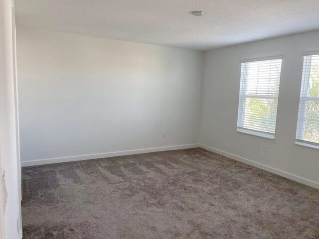 11070 Longleaf Woods Dr, Orlando, FL 32832 - photo 32