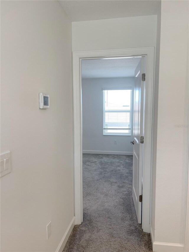 11070 Longleaf Woods Dr, Orlando, FL 32832 - photo 37