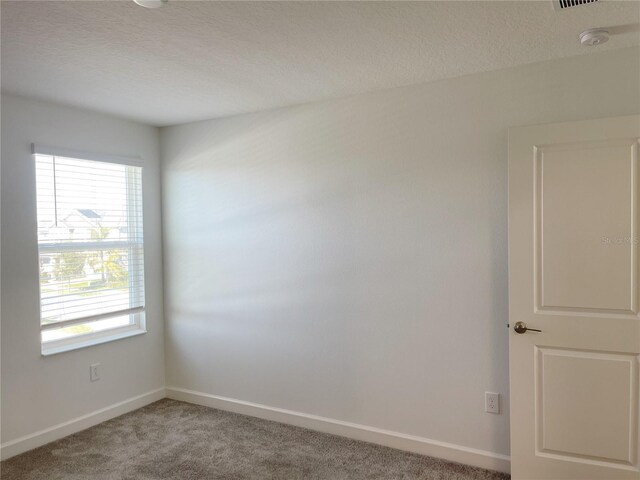 11070 Longleaf Woods Dr, Orlando, FL 32832 - photo 41