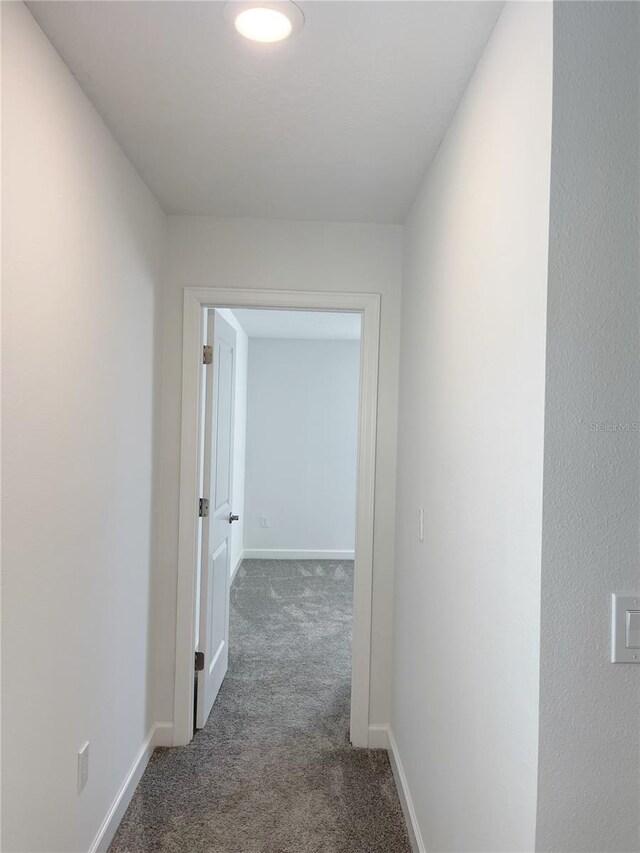 11070 Longleaf Woods Dr, Orlando, FL 32832 - photo 45