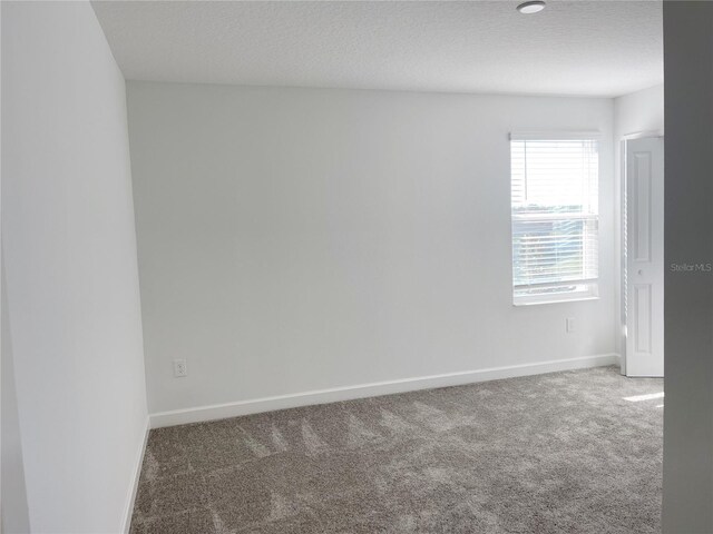 11070 Longleaf Woods Dr, Orlando, FL 32832 - photo 46