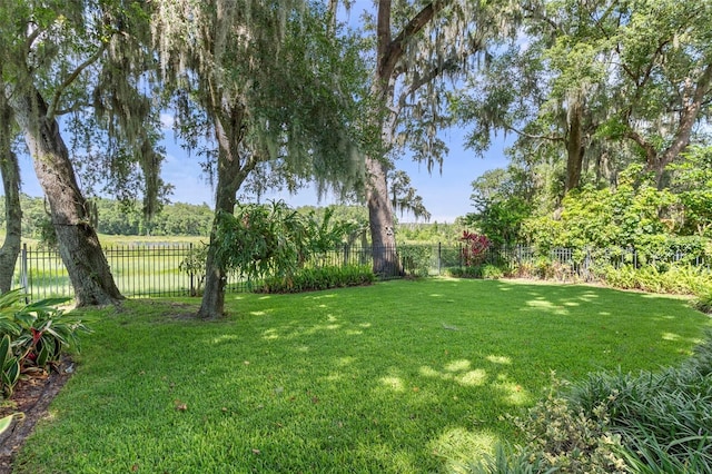 1785 Rushden Dr, Ocoee, FL 34761 - view of yard