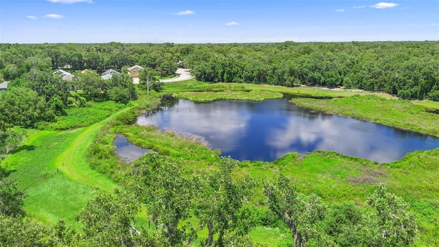 1785 Rushden Dr, Ocoee, FL 34761 - aerial view of a forest and a nearby body of water