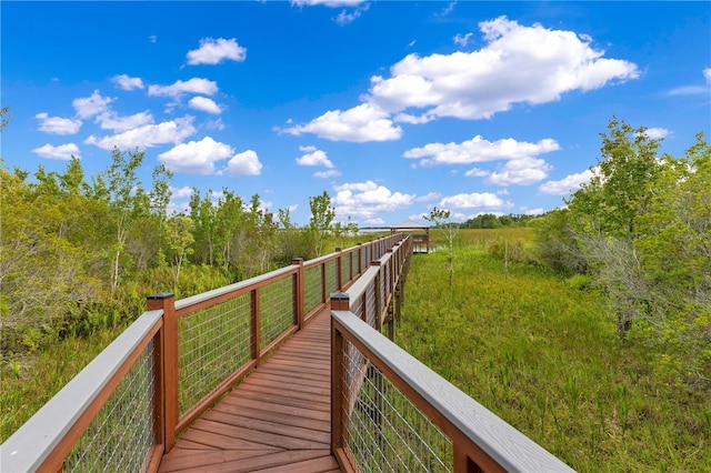 9846 Palmetto Dunes Ct, Orlando, FL 32832 - photo 85