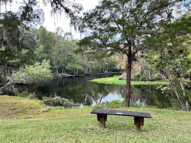 10320 NE 28th Loop, Silver Springs, FL 34488
