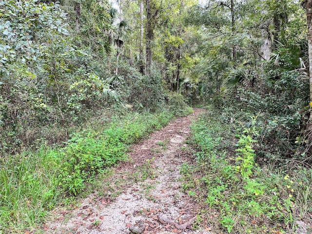 10320 NE 28th Loop, Silver Springs, FL 34488
