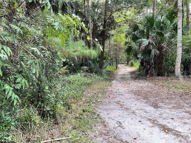 10320 NE 28th Loop, Silver Springs, FL 34488