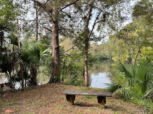 10320 NE 28th Loop, Silver Springs, FL 34488