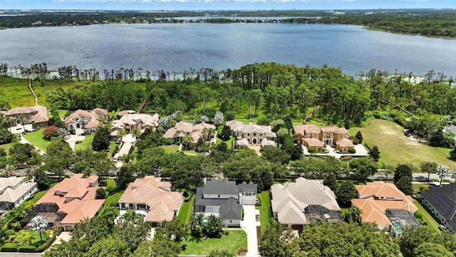 9210 Tibet Pointe Cir, Windermere, FL 34786 - photo 66
