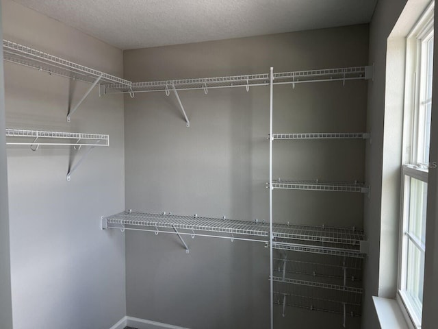 5101 Prairie Preserve Run, Saint Cloud, FL 34772 - photo 15