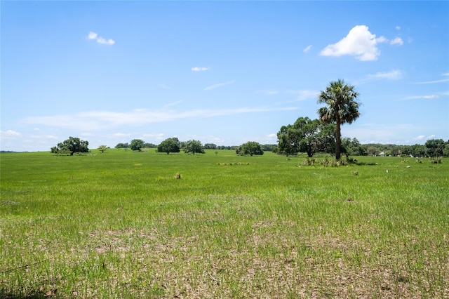 21144 Royal St Georges Ln, Leesburg, FL 34748 - photo 41