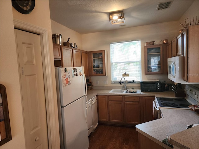 2247 Golden Oak Ln, Valrico, FL 33594 - kitchen with white appliances, brown cabinets, glass insert cabinets, dark wood finished floors, and light countertops