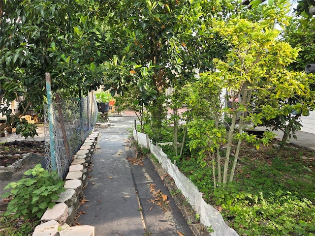 1797 Tillstream Dr, Orlando, FL 32818 - view of yard