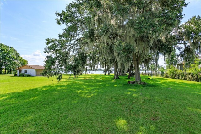 223 S Ortman Dr, Orlando, FL 32811 - photo 8