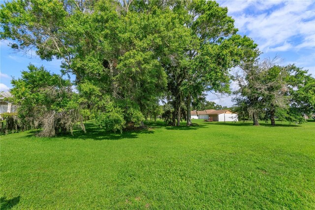 223 S Ortman Dr, Orlando, FL 32811 - photo 10