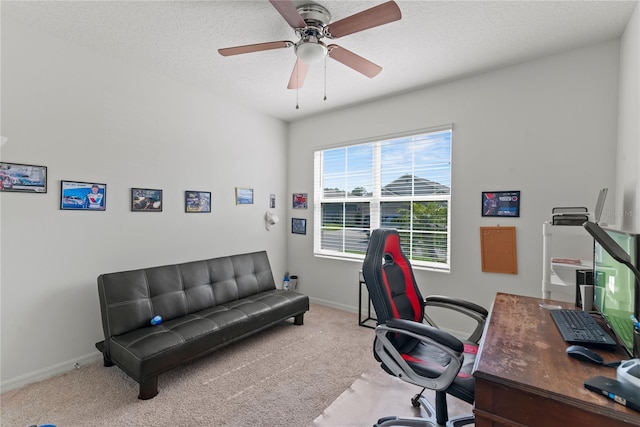3817 Heartleaf Ln, Mount Dora, FL 32757 - photo 23
