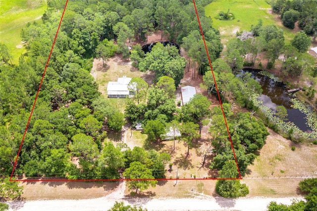 5799 SE 91st Trl, Trenton, FL 32693 - photo 3