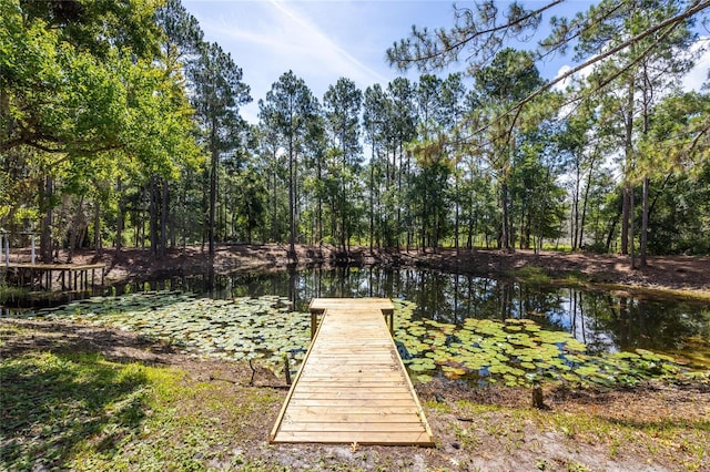 5799 SE 91st Trl, Trenton, FL 32693 - photo 6