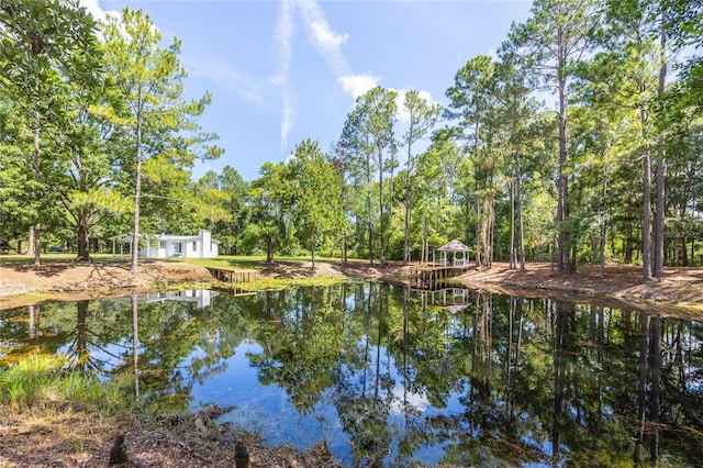 5799 SE 91st Trl, Trenton, FL 32693 - photo 33