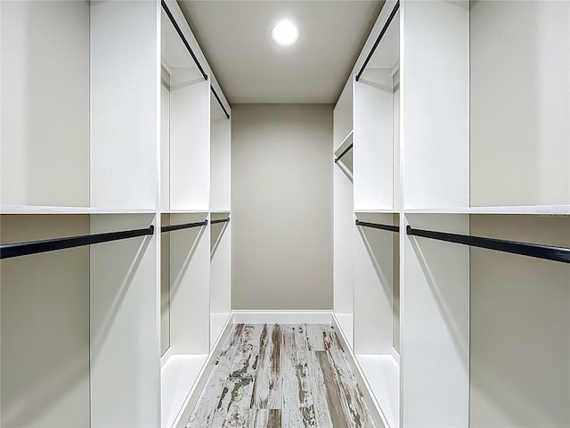14243 County Road 450, Umatilla, FL 32784 - spacious closet with light wood-type flooring