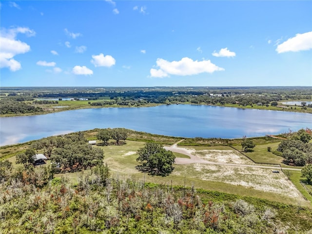 14243 County Road 450, Umatilla, FL 32784 - bird's eye view of a nearby body of water